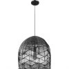 Project Source 1-Light Pendant Fixture - Matte Black - Cord Mount - 60 W Type A19 Bulb -Project Source Shop 08385074 L