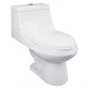 Project Source Elongated Toilet - 1-Piece - Vitreous China - 3.8-L/6-L -Project Source Shop 16905015 L