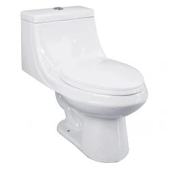 Project Source Elongated Toilet - 1-Piece - Vitreous China - 3.8-L/6-L
