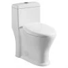 Project Source 1-Piece Toilet with Dual Flush - 4-L/6-L - White -Project Source Shop 16905016 L