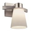Project Source Vanity Light - 1 Light - 60 W - Brushed Nickel -Project Source Shop 30739574 L