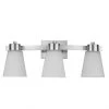 Project Source Vanity Light - 3 Lights - 60 W - Brushed Nickel -Project Source Shop 30739575 L