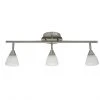 Track Light - 3 Lights - Steel/Glass - White/Brushed Nickel -Project Source Shop 45055009 L