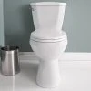 Project Source Total Eco 2-Piece Toilet with Microban Seat - 4.8-L -Project Source Shop 78195087d L