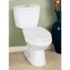 Project Source Evalin 2-Piece Toilet - Dual Flush - 4.1-L/6-L -Project Source Shop 78195088b L