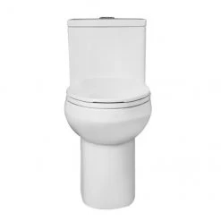 Project Source Lynton 1-Piece Toilet - Elongated - 3-L /4.8-L - White