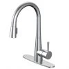 Project Source Pull-Out Kitchen Faucet - Single-Lever - Chrome Finish -Project Source Shop 80375157 L