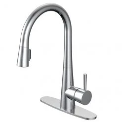 Project Source Pull-Out Kitchen Faucet - Single-Lever - Chrome Finish